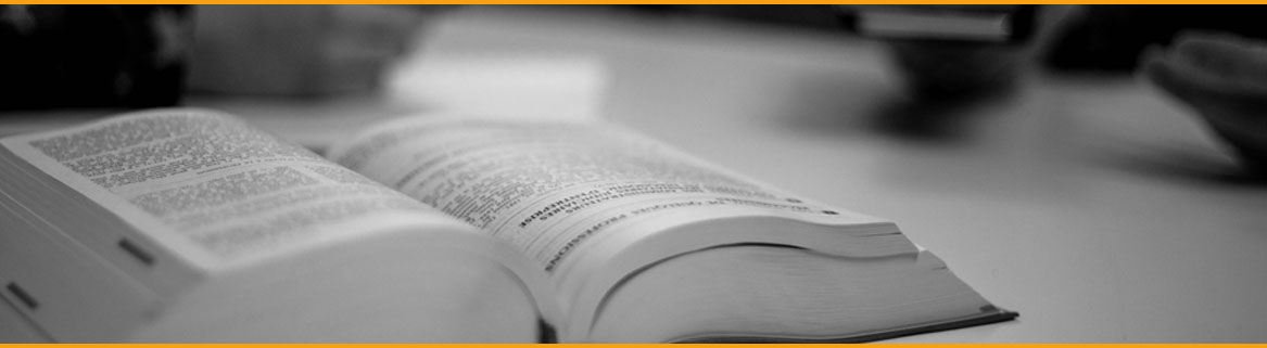 prestations avocat lyon